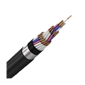 XLPE Insulated PVC Sheathed Armoured Control Cables