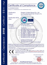 wire-test-report